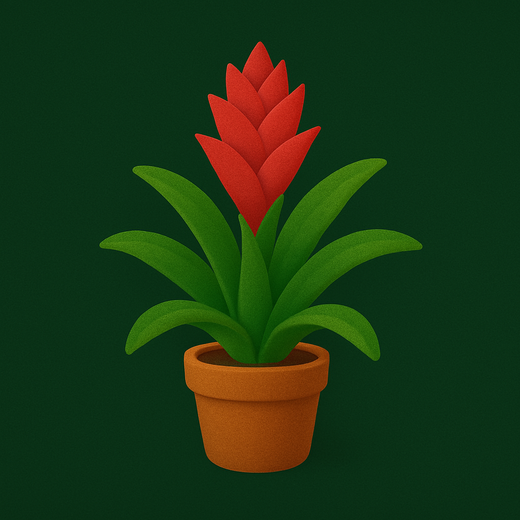 Bromeliads
