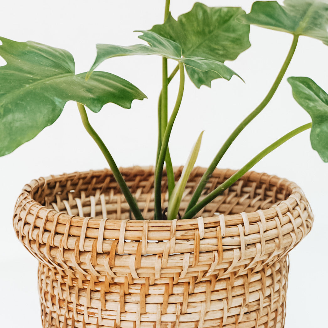 Bucket Cane Planter - Planter - soiled.in