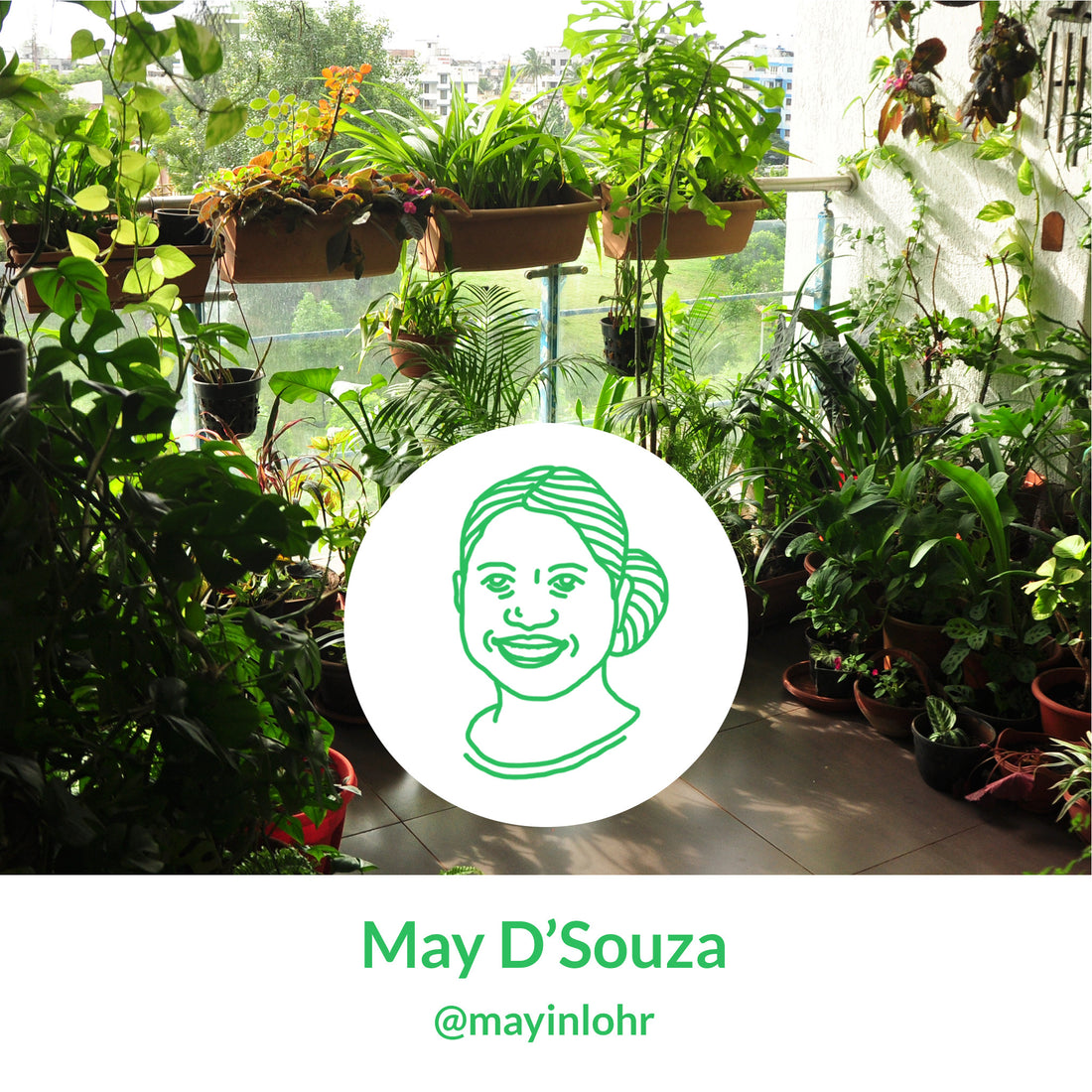 Interview with our plant parent May D'Souza from Pune, Soiled.in