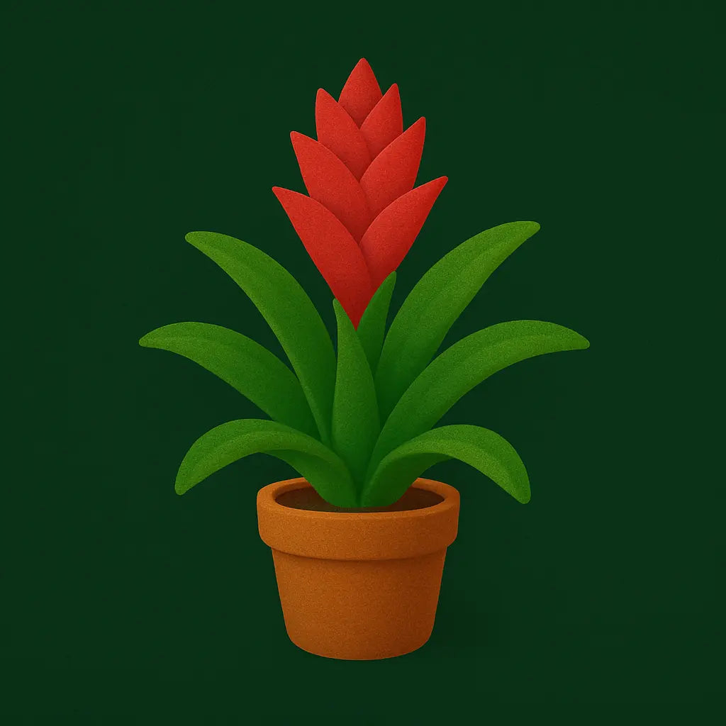 Bromeliads