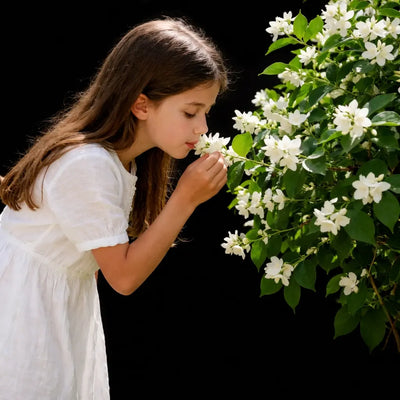 Fragrant Plants