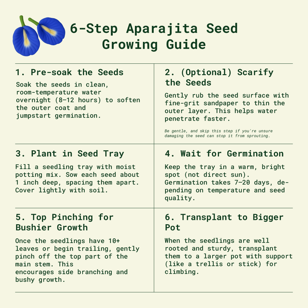 Lilac Aparajita Flower Seeds (Clitoria Ternatea) - Seed - Soiled