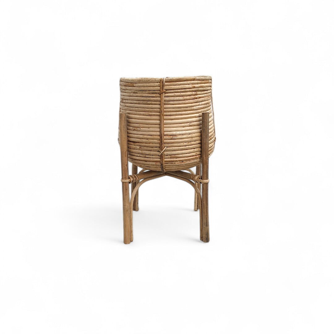 Buddy Handcrafted Cane Planter Stand - Planter - Soiled