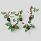 Philodendron 'Pink Princess' - Philodendron - Soiled