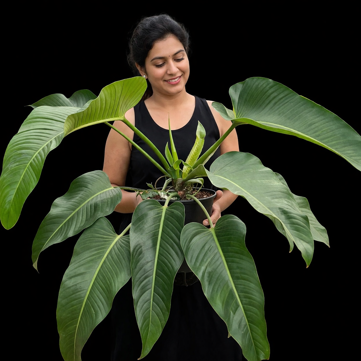 Woman holding a large green potted Philodendron Davidsonii plant against a black background