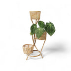 Three-Tier Cane Planter Stand - Pots & Planters - Soiled