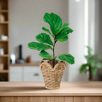 Tulip Cane Planter - Planter - Soiled