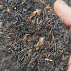 Carbonized Rice Hull (CRH)