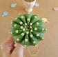 Echinopsis Subdenudata - Cactus - soiled.in