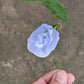 Clitoria Ternatea, Aparajita Flower Seed (Light Blue)