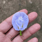 Clitoria Ternatea, Aparajita Flower Seed (Light Blue)
