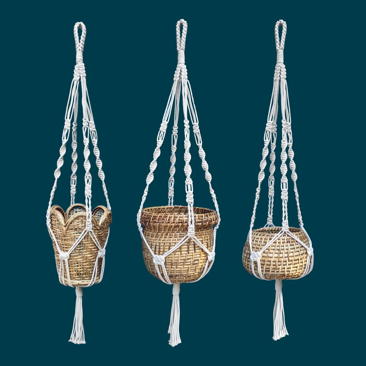 Cane Planters With Macrame Hangers - Set of 3 - Planter - soiled.in