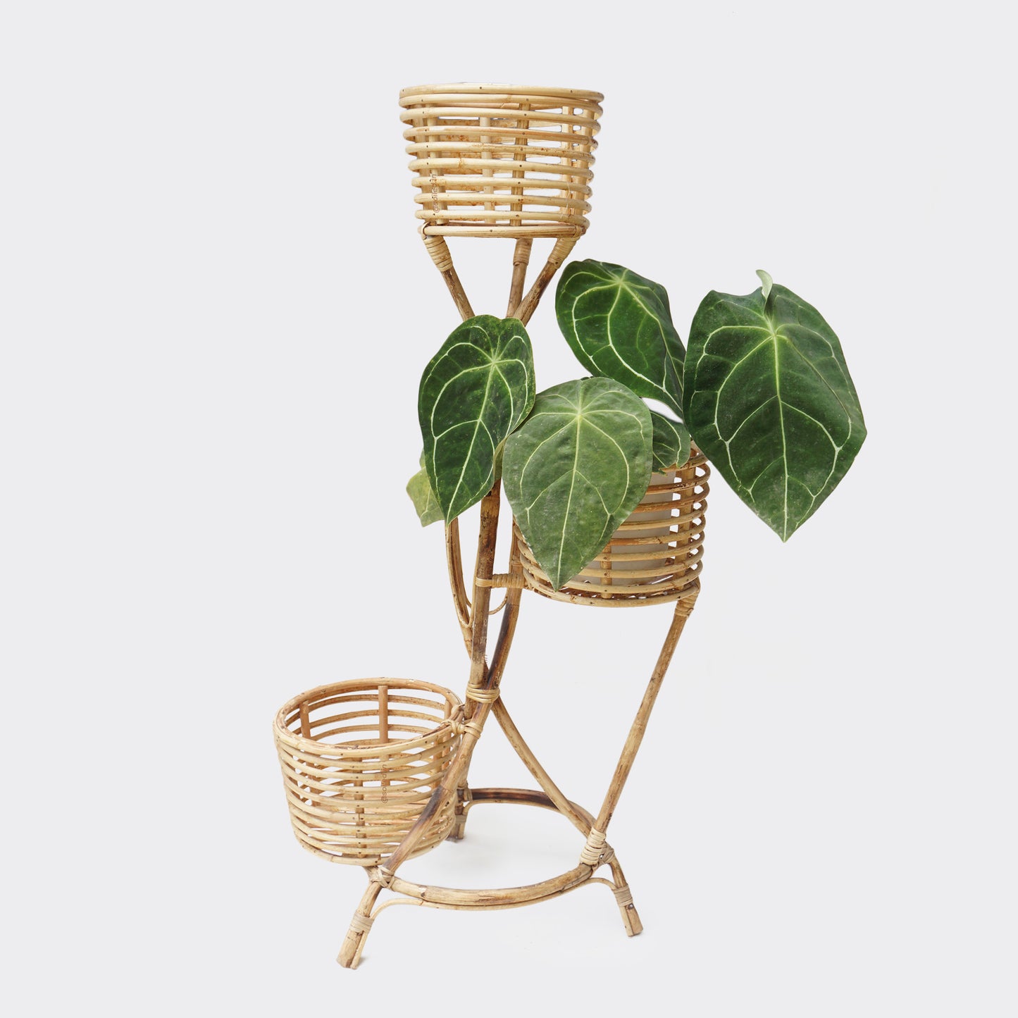 Three-Tier Cane Planter Stand - Pots & Planters - soiled.in