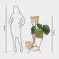 Three-Tier Cane Planter Stand - Pots & Planters - soiled.in